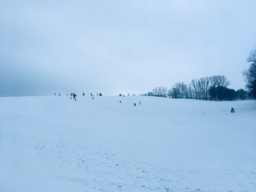 Rodeln - gut fürs Gemüt, schlecht für Feldfrüchte...