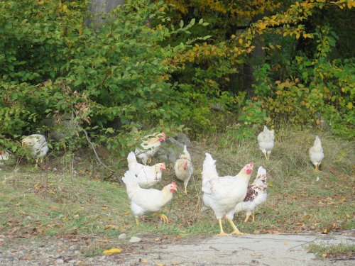 Der etwas andere Osterspaziergang