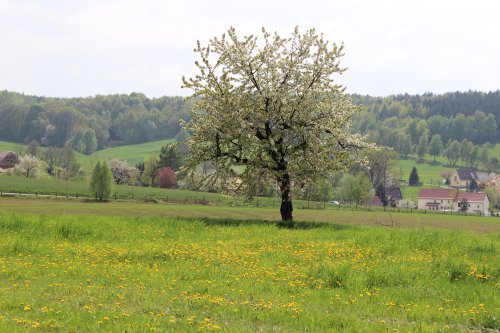 Winterwanderung in Arnsdorf-Hilbersdorf