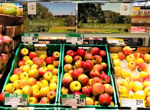Unsere Äpfel im Görlitzer Rewe-Markt
