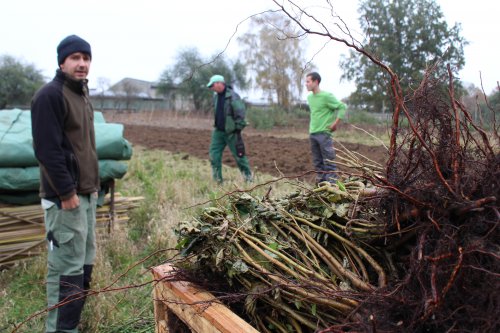 Entdecke die Hecke!