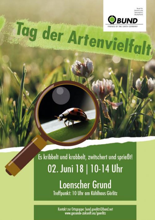 Es krabbelt, summt und... zählt!