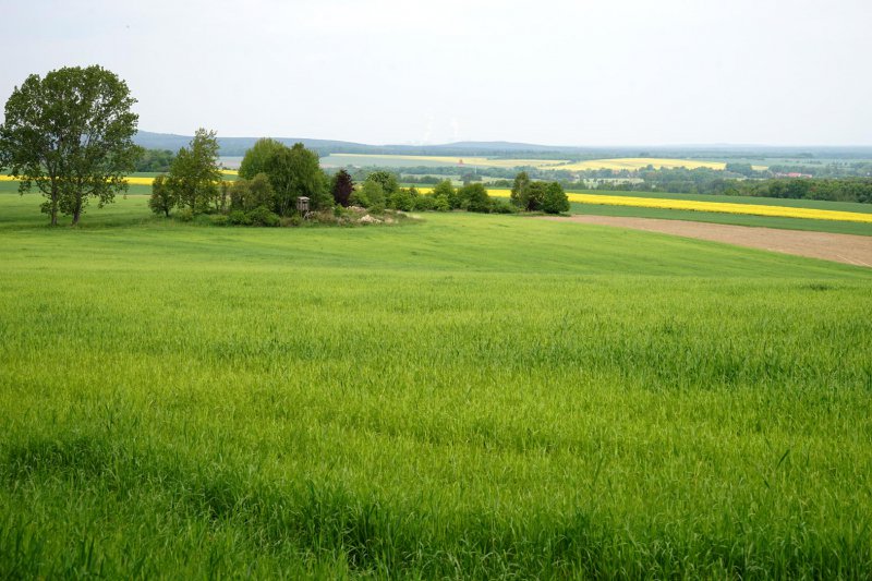  Landschaft-Hilbersdorf.jpg